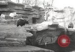 Image of animal foes Milwaukee Wisconsin USA, 1932, second 14 stock footage video 65675062516