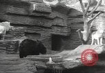 Image of animal foes Milwaukee Wisconsin USA, 1932, second 15 stock footage video 65675062516