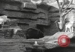 Image of animal foes Milwaukee Wisconsin USA, 1932, second 16 stock footage video 65675062516