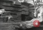 Image of animal foes Milwaukee Wisconsin USA, 1932, second 18 stock footage video 65675062516