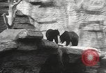 Image of animal foes Milwaukee Wisconsin USA, 1932, second 19 stock footage video 65675062516