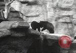 Image of animal foes Milwaukee Wisconsin USA, 1932, second 20 stock footage video 65675062516