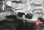 Image of animal foes Milwaukee Wisconsin USA, 1932, second 22 stock footage video 65675062516