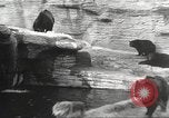 Image of animal foes Milwaukee Wisconsin USA, 1932, second 23 stock footage video 65675062516