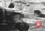 Image of animal foes Milwaukee Wisconsin USA, 1932, second 24 stock footage video 65675062516