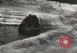 Image of animal foes Milwaukee Wisconsin USA, 1932, second 25 stock footage video 65675062516