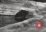 Image of animal foes Milwaukee Wisconsin USA, 1932, second 26 stock footage video 65675062516