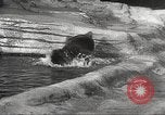 Image of animal foes Milwaukee Wisconsin USA, 1932, second 27 stock footage video 65675062516