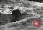 Image of animal foes Milwaukee Wisconsin USA, 1932, second 28 stock footage video 65675062516
