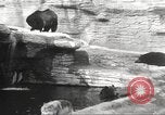 Image of animal foes Milwaukee Wisconsin USA, 1932, second 29 stock footage video 65675062516