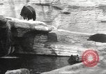 Image of animal foes Milwaukee Wisconsin USA, 1932, second 30 stock footage video 65675062516