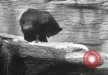 Image of animal foes Milwaukee Wisconsin USA, 1932, second 31 stock footage video 65675062516