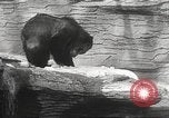 Image of animal foes Milwaukee Wisconsin USA, 1932, second 32 stock footage video 65675062516