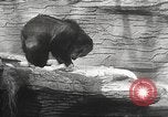 Image of animal foes Milwaukee Wisconsin USA, 1932, second 33 stock footage video 65675062516