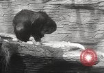 Image of animal foes Milwaukee Wisconsin USA, 1932, second 34 stock footage video 65675062516