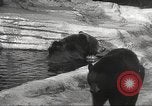 Image of animal foes Milwaukee Wisconsin USA, 1932, second 36 stock footage video 65675062516