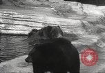 Image of animal foes Milwaukee Wisconsin USA, 1932, second 37 stock footage video 65675062516