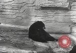 Image of animal foes Milwaukee Wisconsin USA, 1932, second 44 stock footage video 65675062516
