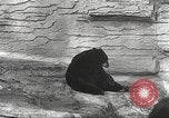 Image of animal foes Milwaukee Wisconsin USA, 1932, second 45 stock footage video 65675062516