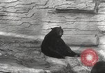 Image of animal foes Milwaukee Wisconsin USA, 1932, second 46 stock footage video 65675062516