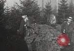 Image of shipping firs Shelton Washington USA, 1932, second 13 stock footage video 65675062517
