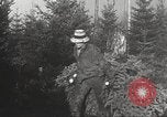 Image of shipping firs Shelton Washington USA, 1932, second 15 stock footage video 65675062517