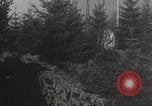 Image of shipping firs Shelton Washington USA, 1932, second 16 stock footage video 65675062517