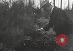 Image of shipping firs Shelton Washington USA, 1932, second 17 stock footage video 65675062517