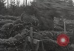Image of shipping firs Shelton Washington USA, 1932, second 20 stock footage video 65675062517