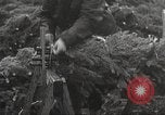 Image of shipping firs Shelton Washington USA, 1932, second 21 stock footage video 65675062517