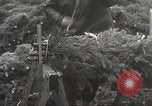 Image of shipping firs Shelton Washington USA, 1932, second 22 stock footage video 65675062517
