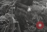 Image of shipping firs Shelton Washington USA, 1932, second 23 stock footage video 65675062517
