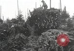 Image of shipping firs Shelton Washington USA, 1932, second 24 stock footage video 65675062517