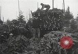 Image of shipping firs Shelton Washington USA, 1932, second 25 stock footage video 65675062517