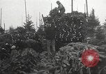 Image of shipping firs Shelton Washington USA, 1932, second 26 stock footage video 65675062517