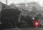 Image of shipping firs Shelton Washington USA, 1932, second 31 stock footage video 65675062517