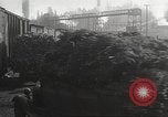 Image of shipping firs Shelton Washington USA, 1932, second 34 stock footage video 65675062517