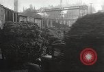 Image of shipping firs Shelton Washington USA, 1932, second 36 stock footage video 65675062517