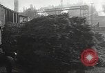 Image of shipping firs Shelton Washington USA, 1932, second 37 stock footage video 65675062517