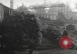 Image of shipping firs Shelton Washington USA, 1932, second 38 stock footage video 65675062517