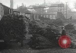 Image of shipping firs Shelton Washington USA, 1932, second 39 stock footage video 65675062517
