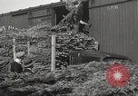 Image of shipping firs Shelton Washington USA, 1932, second 41 stock footage video 65675062517