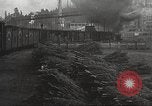 Image of shipping firs Shelton Washington USA, 1932, second 44 stock footage video 65675062517