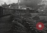 Image of shipping firs Shelton Washington USA, 1932, second 45 stock footage video 65675062517