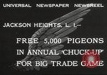 Standbild Tauben freigegeben Jackson Heights Long Island New York USA, 1932, aus Sekunde 3 historischem Filmmaterial Videoclip 65675062521