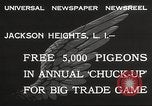 Standbild Tauben freigegeben Jackson Heights Long Island New York USA, 1932, aus Sekunde 5 historischem Filmmaterial Videoclip 65675062521