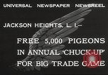 Standbild Tauben freigegeben Jackson Heights Long Island New York USA, 1932, aus Sekunde 6 historischem Filmmaterial Videoclip 65675062521