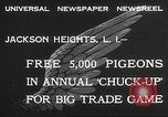 Standbild Tauben freigegeben Jackson Heights Long Island New York USA, 1932, aus Sekunde 8 historischem Filmmaterial Videoclip 65675062521