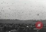 Standbild Tauben freigegeben Jackson Heights Long Island New York USA, 1932, aus Sekunde 21 historischem Filmmaterial Videoclip 65675062521