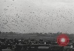 Standbild Tauben freigegeben Jackson Heights Long Island New York USA, 1932, aus Sekunde 22 historischem Filmmaterial Videoclip 65675062521
